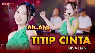 Seujung Rambut Seujung Kuku | TITIP CINTA - Diva Hani  (Official Music Video)