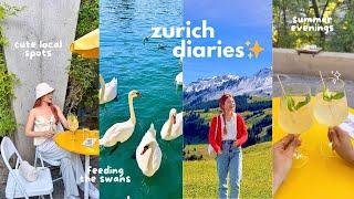 a week in zurichcute local spots summer nights, swan lake, swiss food, day trip to the alps 