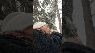 my winter