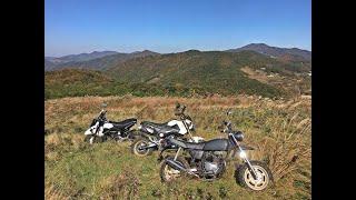 Honda Grom/MSX125 - hill climb at the south korea in gyeong-ju san-nae field of reeds.