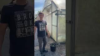 Проветривание теплиц #марьянская #теплица #огород #проветривание