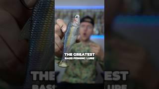 BEST Bass Fishing Lure EVER?! #fishing