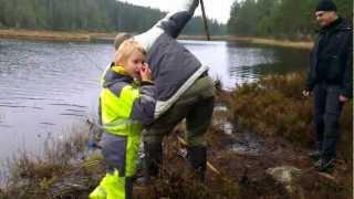 Regnbågs fiske i Fisklösen