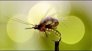 Oliver Edwards Ties His Knotted Emerging Caddis Fly Pattern