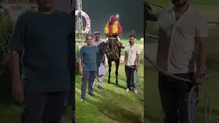 Owner Ali Raza Zia Win Two Races || Samore City and Desert Crown