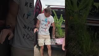 Если само выросло, то и у нас сможет выжить  #дом #дача #своимируками  #интерьер #огород #дачники