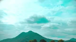 ll Visual poetry in motion  ll #art #naturecinematic #nature #music