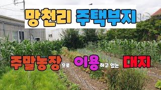 354. 망천리 주말농장매매 조용하고 깨끗한 흥해주택부지매매  주말농장으로 이용중인 포항주택부지매매 망천리 주태부지 매매 흥해주택부지매매 흥해부동산 포항부동산 지목부동산