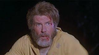 The Fugitive