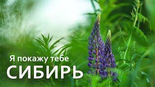 Я покажу тебе СИБИРЬ. 3 часть. Живые истории. Томская область.