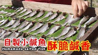 自製小鹹魚 │ 醃製鹹魚 Homemade salted fish