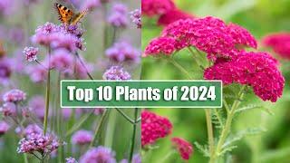 Top 10 Best Selling Garden Perennials Of The Year | Rosy Hardy