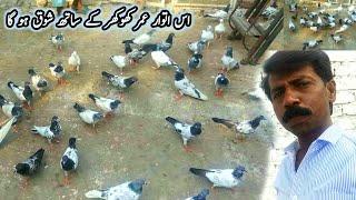 Is Sunday Khokhar ki Chat Se Bazi Uray Gi | Pola G Pigeons Club