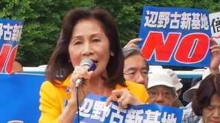 2015.05.24「5.24首都圏アクション国会包囲ヒューマンチェーン…」糸数慶子 参議院議員【9/10】