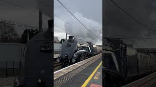 Sir Nigel Gresley 60007 LNER A4 - Grantham 16/11/24 #lner #a4 #sirnigelgresley #grantham #station