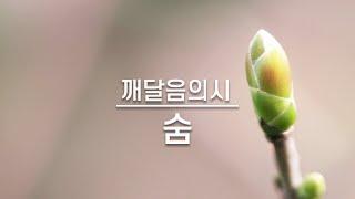 생명의 숨  | 아침 명상, 잠자기 전에 명상할 때 들으면 좋은글, 깨달음의 시