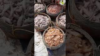 भाऊचा धक्का | Fish Auction |  200 Kg Prawns |  | Bhaucha dhakka Mumbai #kokankanyasuchita #fish