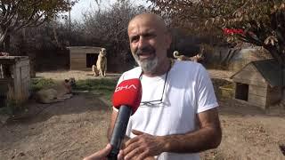 Kangalların 'akraba' eşleşmesi, ırkın gerilemesine neden oluyor