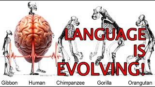 Language is a SUPERPOWER  - Mini Documentary