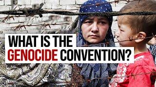 Genocide Prevention Explained: Is it International Law?