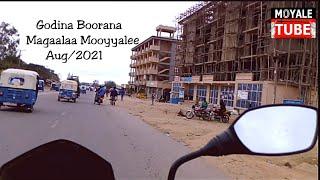 Godina Boorana Magaalaa Mooyyalee"Moyale town" Aug/2021