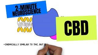 2-Minute Neuroscience: CBD