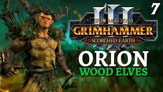 HUNT VON CARSTEIN  | SFO Immortal Empires - Total War: Warhammer 3 - Wood Elves - Orion #7