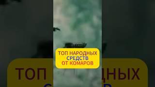 С этим средством ты ЗАБУДЕШЬ ПРО КОМАРОВ #огород #дача #комары