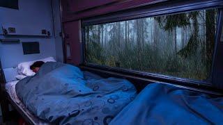 Dormir Inmediatamente Dentro De 5 Minutos Con Fuerte Lluvia En La Ventana En El Tren