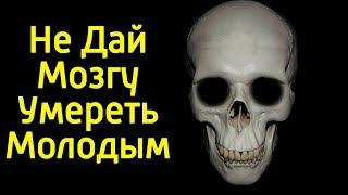 Не дай своему мозгу умереть молодым – Как сохранить мозг здоровым и стать умным на всю жизнь