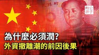 外资逃离中国再破纪录！一口气了解跨国资本抛弃习近平的新选择，为什么投资中国不再吃香？