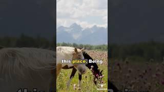 The Unique Nature of Gerry Spence's Thunderhead Ranch