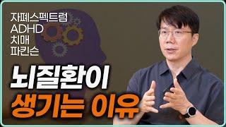 뇌과학의 모든 것 초간단 리뷰: 뇌 구조, 시냅스, 신경전달물질