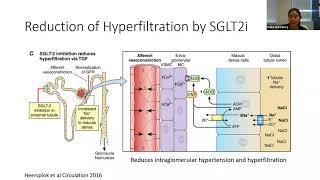 Nephrology Updates 2021