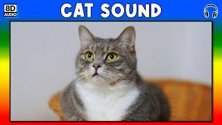  CAT SOUND - CAT SOUND EFFECT - SOUND OF CAT - NOISE OF CAT