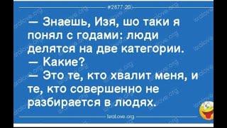 GS2284 "Что делать?, Кто виноват?" 5 часть