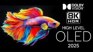 Special Quality Vision in 8K HDR Video (60fps) Dolby Vision™