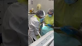 Ждем Вас к нам в клинику на проф. гигиену  89879539661