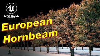 Quixel Megascans Trees: European Hornbeam for UE 5.