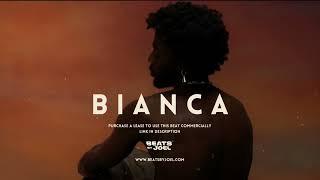 Afrobeat Instrumental 2024 | Afrobeat x Guitar Type beat "Bianca"