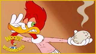 Woody Woodpecker Show | Chicken Woody | Full Episode | Cartoons For Children