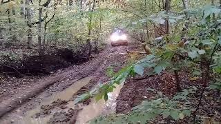 Walk in the woods on 4WD