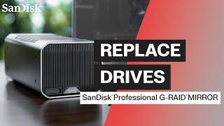 Replace Drives: SanDisk Professional G-RAID MIRROR