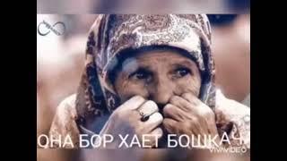 Учта ЎҒЛИ бор эди,Унинг...@jannatgabirqadam @darveshbuva