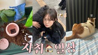 해피 6월 올영세일 쟁이기. 대환장 언박싱. 식집사 도전  초여름 콧바람 휭휭 〰️