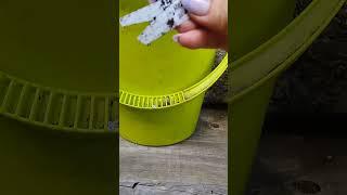 Зацветают первые томатики .