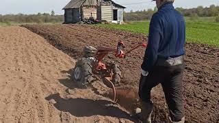 Мотоблок МТЗ Беларус пашет сам, работа с плугом, вспашка земли! 30.04.2023