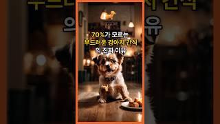 70%가 모르는 부드러운 강아지 간식의 진짜 이유   #강아지 #강아지건강 #강아지간식