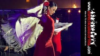 Flamenco Barcelona - Contratar Espectáculo Para Eventos