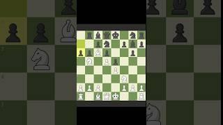 Knight riders chese #chess #chessgame #chesstournament